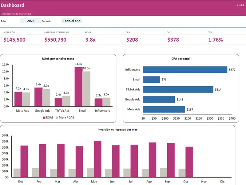 Vista real del Dashboard de Marketing y ROAS