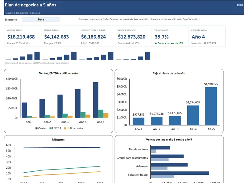 Vista real de Plan de Negocios y Modelo Financiero a 5 Años
